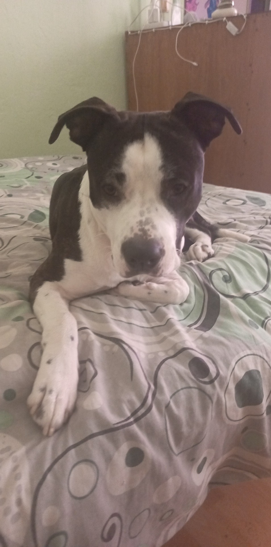 Laki